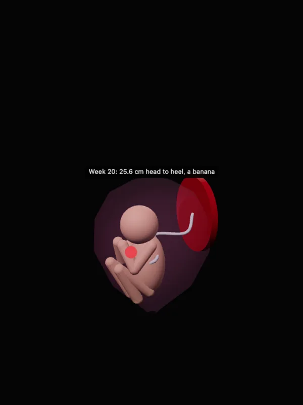 Where babies come from
