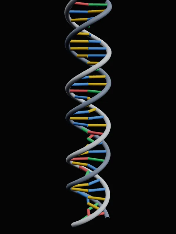What DNA is